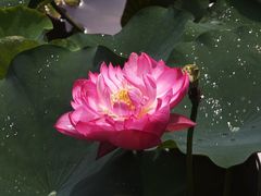 -沐仙湖湿地公园