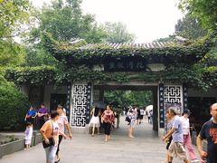 -西湖外事游船(花港观鱼码头)