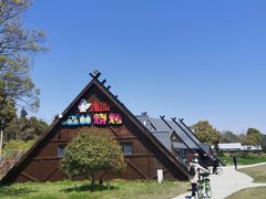 -东平国家森林公园