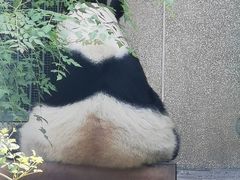 -天津市动物园