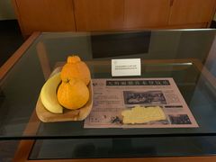 -成都天府丽都喜来登饭店