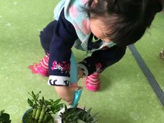 -四叶草托育园(张江园店)