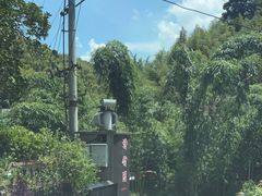 -漫山居私汤民宿全竹宴