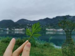 -雷波马湖风景区