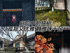 -安仁古镇