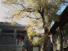 -北山公园