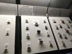 -古陶文明博物馆