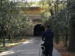 -灵谷景区