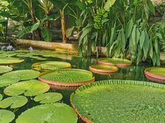 -国家植物园南园