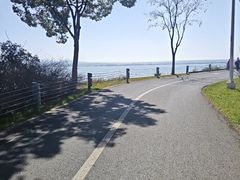 -贡湖湾湿地公园
