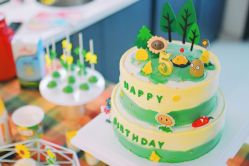 -圣塔拉 宝宝宴生日Party气球派对一站式高端策划