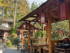 -青城甲(青城山店)