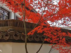 -上海醉白池公园