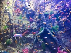 -杭州开元森泊度假乐园