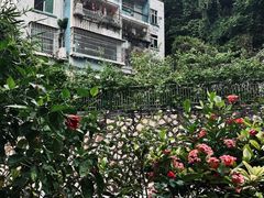 -彳亍咖啡·这里(水湾路店)