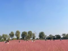 -汉长安城未央宫国家考古遗址公园