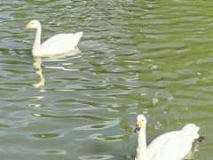 -泉州海丝野生动物世界