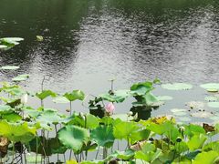 -苏州环秀晓筑养生度假村