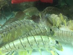 -班赞海鲜市场