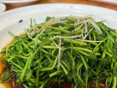 白灼豆苗-金地利海鲜酒楼(清凉门店)