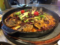 -老板恋上鱼(恒隆广场店)