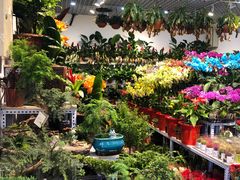 -三旗百汇商品城