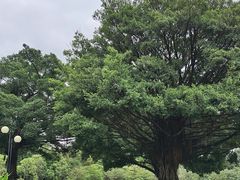 -荔香公园