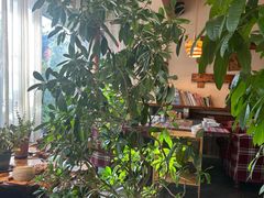 -慢丽江·云南野生菌土鸡锅(付家庄店)