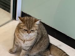 -悦宠凯宝动物医院·牙科·皮肤科(朝阳北路店)
