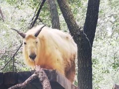 -北京野生动物园