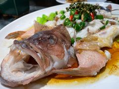 鮮花椒蒸東星斑-猪肉婆私房菜(容桂总店)