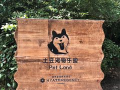 -上海崇明金茂凯悦酒店