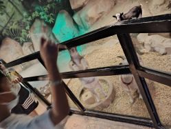 -酷嗒动物文化乐园(cutezoo西溪乐天城店)