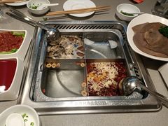 -海底捞火锅(宝龙广场夜宵主题店)