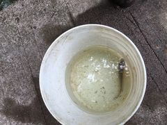 -茂德公草堂
