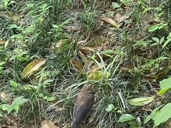 -桂林兴坪漓江