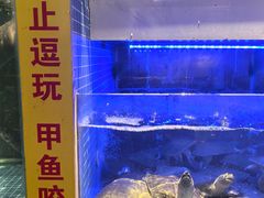 -王捌小院(红花坡店)