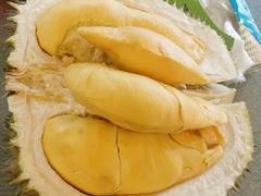 -都念榴莲·城市榴莲