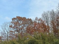 -南京老山国家森林公园