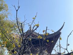 -钱王祠