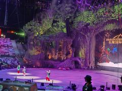 -广州长隆国际大马戏