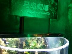 -萌宠奇缘