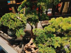 -東大方(武康千秋广场店)
