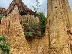 -元谋浪巴铺土林景区