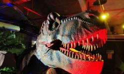 -恐龙探索乐园(磁器口店)