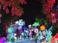 -洋湖国家湿地公园