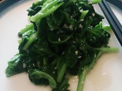 -中苑海韵