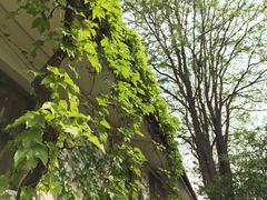 -西安青龙寺遗址景区