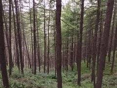 -驼梁风景区