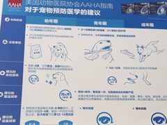 -心仪动物医院·牙专科·肿瘤·心脏科(西客站院)